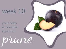 This measurement doesn't even take into account arms and legs. Week 10 Baby Sense Usa