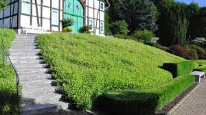 | ausstellung des verbands der botanischen gärten. Details Landschaftsarchitektur Ehrig