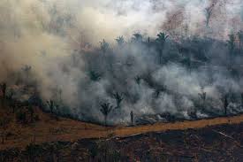 Pembakaran sempurna, reaktan terbakar dengan oksigen menghasilkan beberapa produk. Kebakaran Hutan Amazon Brasil Larang Pembakaran Lahan Selama 60 Hari