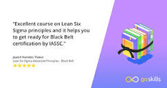 Lean Six Sigma Advanced Principles - Black Belt | Online Training ...