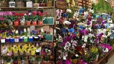 Mercado das Flores