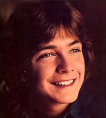 Wanda McCarthy (wandamccarthy)