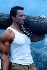 Arnold Schwarzenegger Arnold Schwarzenegger Bodybuilding Schwarzenegger Bodybuilding Schwarzenegger