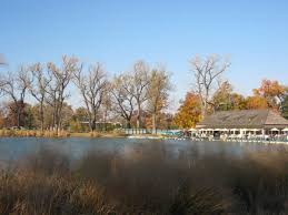 Check spelling or type a new query. Discover St Louis Forest Park Arch City Homes