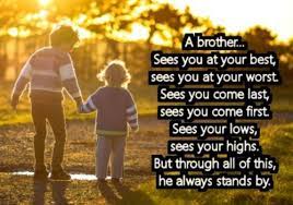 And how i love him too. 274 Memorable Brother Quotes To Show Your Appreciation Bayart