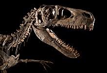 1 information 2 costs and incubation times 3 trivia 4 stats 5 appearance 6 trivia 7 gallery utahraptor is unlocked by completing earth shattering event. Utahraptor Wikipedia