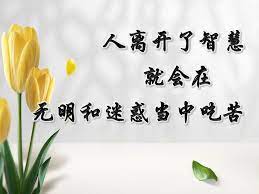 人离开了智慧 就会在无明和迷惑当中吃苦 home decor decals home decor decor