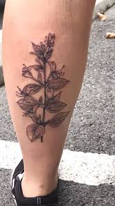 Find your perfect bloom lovetoknow. First Tattoo Honeysuckles By Mercedes At Gratitude Tattoo Nashville Tn Tattoos