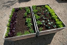 Ein hochbeet aus paletten eignet sich auch für alle, die keinen großen garten zur verfügung haben. Hochbeet Selber Bauen So Gelingt Es Ihnen