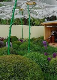 33 Chelsea Flower Show ideas