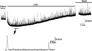 Effects Of Bacterial Endotoxin On Regulation Of The Heart A