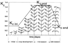 Des besoins en eau des cultures. Memoire Online Determination Des Besion En Eau Des Cultures A L Aide De Logiciel Cropwat 4 3 Dans La Wilaya De Tipaza Anahr Ammar Boudjelal