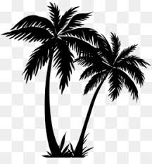 Tree transparent background image palm tree image no background graphics use for web design or graphic designs. Palm Tree Png Palm Tree Silhouette Palm Tree Leaf Palm Tree Vector Palm Tree Beach Black Palm Tree Palm Tree Black Palm Tree Outline Sunset Palm Tree Palm Tree Stencil Blue