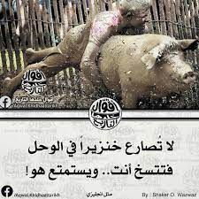 مثل انجليزي مثل انكليزي english proverb wisdom quotes life book quotes beautiful arabic words