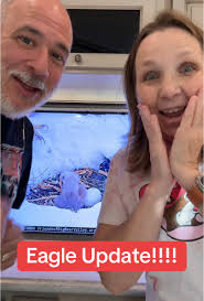 Jackie & Shadow Eagle Update: Possible Triplets Hatching