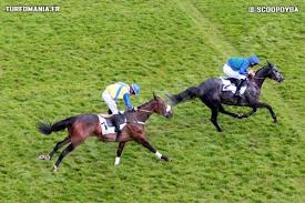 Ce cheval entraîné par yannick fouin n'a pas été monté très offensivement par son jockey lors de ses deux. Prix Des Charentes 2017 Confrontations Chevaux Auteuil Reunion N 1 Course N 7 Samedi 29 Avril 2017
