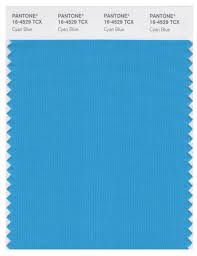 Turquoise is french in origins and it means (turkish). Pantone Smart 16 4529 Tcx Color Swatch Card Cyan Blue Magazine Cafe Store Nyc Usa