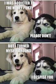 Pin On Funny