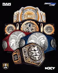 Pin On Wwe Raw Sd Uk Nxt Champion