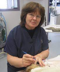 Our veterinary team is committed to educating our clients how to keep their. Our Doctors