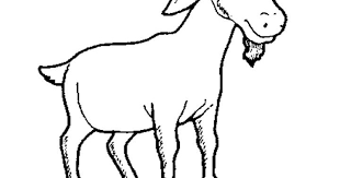 Kambing boer kambing hitam bengal kambing pigmi domba pembaruan s putih mamalia png pngegg. Gambar Kambing Animasi Hitam Putih