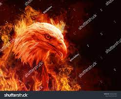 Eagle with fire