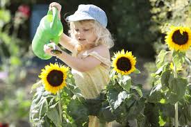 Fill your garden by growing plants from cuttings. Six Of The Best Plants To Grow With Kids Goodtoknow