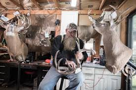 Scoring Your Whitetail Trophy Deer Hunting Realtree Camo