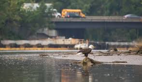 The environmental protection agency is an independent executive agency of the united states federal government tasked with environmental pro. Why A Strong Epa Is Important What The Environmental Protection Agency Does Audubon