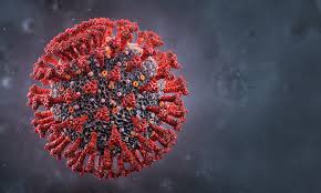 coronavirus new strain UK