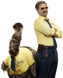 Limu Emu And Doug Liberty Mutual Liberty Mutual Insurance Renters Insurance