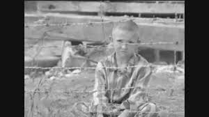 1, with the title la canzone del bambino nel vento (auschwitz) (the song of the child. La Canzone Del Bambino Nel Vento Auschwitz Nomadi Youreporter