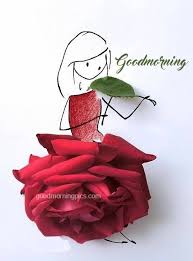 Red rose love flower good morning images wallpaper download. Good Morning Red Rose And Quote Goodmorningpics Com