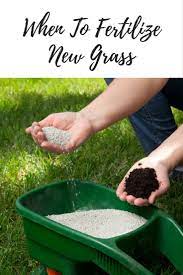 When To Fertilize New Grass Grass Fertilizer Backyard Vegetable Gardens Lawn Fertilizer