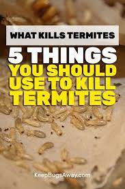 If you have an existing termite infestation, applying a liquid termiticide may mean that drilling is required to reach the termites. What Kills Termites Top 5 Things You Can Use To Kill Termites Kill Termites Termite Treatment Diy Termite Treatment