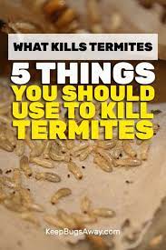 The majority of drywood termite cases need assistance from a trained professional. What Kills Termites Top 5 Things You Can Use To Kill Termites Termite Treatment Diy Termite Treatment Termite Control