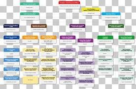 Organizational Chart Corporation Walgreens Business Png