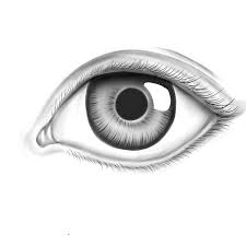 Realistic Eye By Appletumble On Deviantart Realistic Eye Eye Drawing Eye Outline