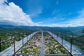 Image result for Elymandra grallata