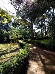 Resultado de imagen para Parque Ecológico de Ciudad Nueva