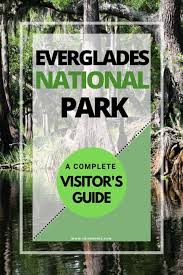 Search hotels in everglades national park, united states. Everglades National Park A Complete Visitor S Guide Trip Memos