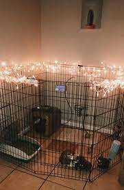 Shop online or in store! Dog Rabbit Diy Rustic Modern Cute Pet Gate Enclosure Habitat Exercise X Pen Ideas Pet Bunny Rabbits Pet Bunny Bunny Cages