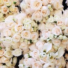 At This Moment Instagram Photography 20 Images Of Inspiration Flowers Pretty Flowers Beautiful Flowers