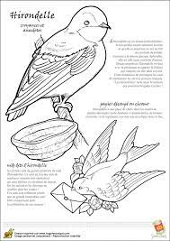 page 8 sur 24 hugolescargot com coloriage oiseaux animaux famille au bord de l&#x00027;eau