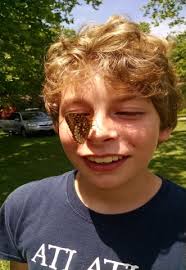 If I would study my old, lost art, let us say, I must make myself the  artisan Membership Renewal Reminder . 11 Notice for Ann