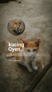 Pin Di Typography