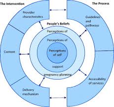 Image result for Preconception Counseling