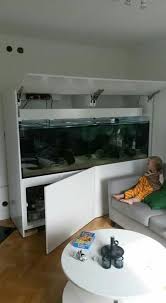 Diy Aquaria Fish Aquarium Decorations Fish Tank Terrarium Aquarium Fish Tank