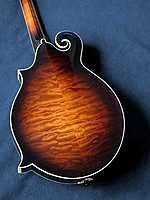 Mandolin Cafe Forum