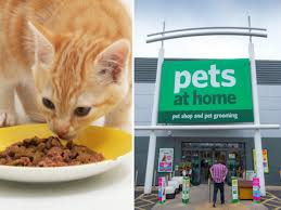 Salmonella discovered in answers brand dog food (1/15/2019). Warning Massive Pet Food Recall As Animals Start Collapsing After Eating Dodgy Batch Daily Star